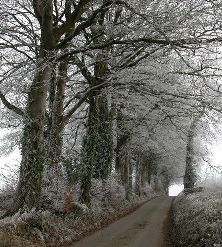 West Dorset