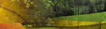 Blackdown Hills